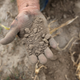 Image for article titled Jay Inslee Wants to Transform How America Farms and Eats